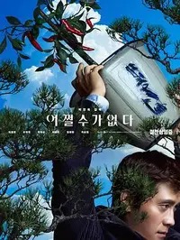 朝阳区热问图文卡